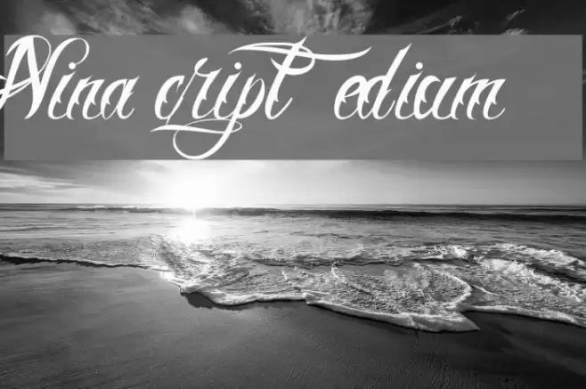 Nina Script  Medium Font examples