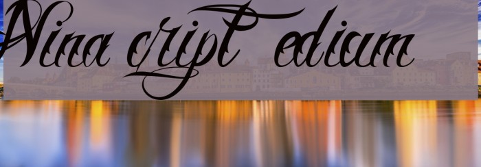 Nina Script Medium Font examples