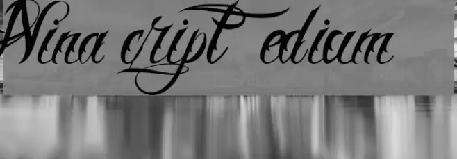 Nina Script  Medium Font examples