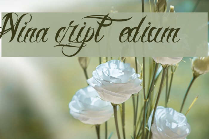 Nina Script Medium Font examples