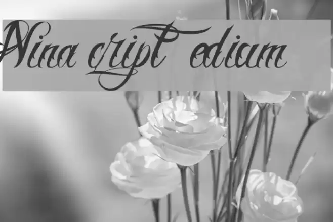 Nina Script  Medium Font examples
