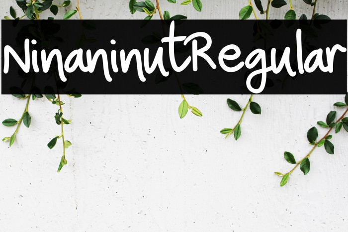 NinaninutRegular Example 2