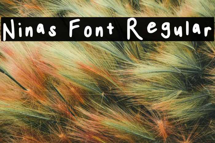 Ninas Font Regular Example 1