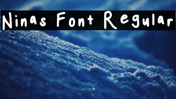 Ninas Font Regular Example 2