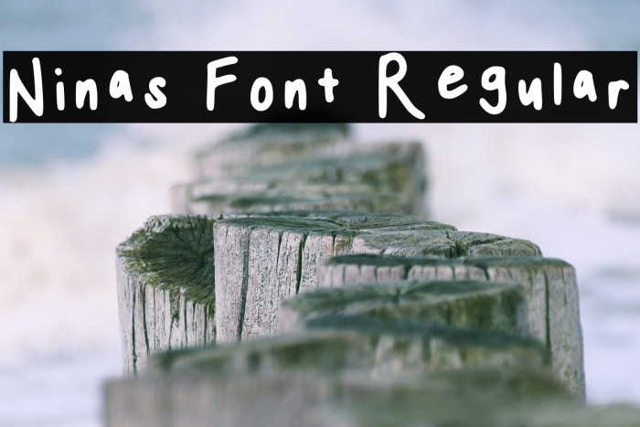 Ninas Font Regular Example 3