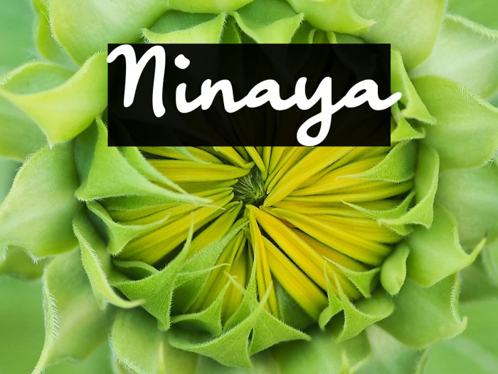 Ninaya Example 1