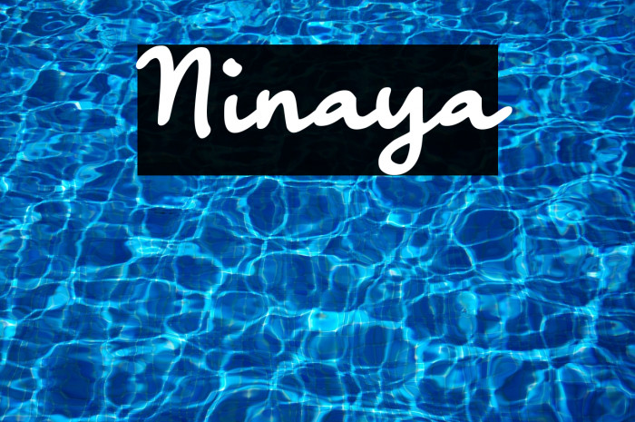 Ninaya Example 2