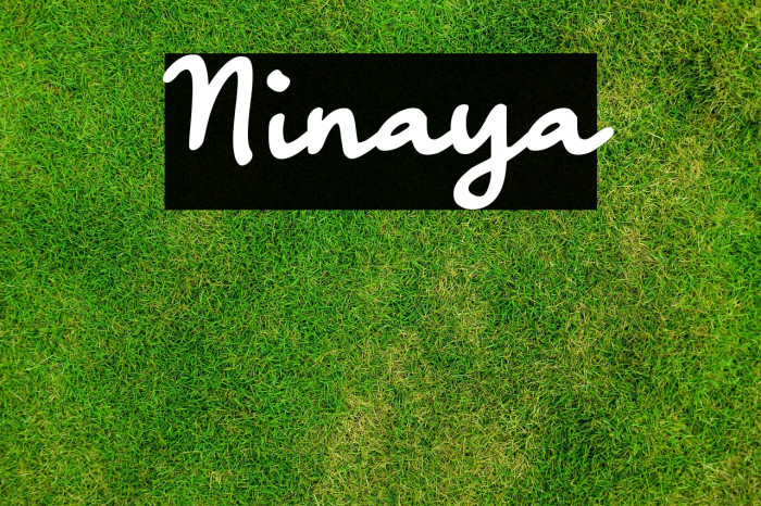 Ninaya Example 3