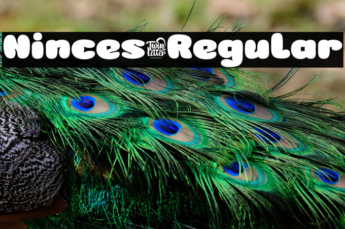 Ninces-Regular Example 3