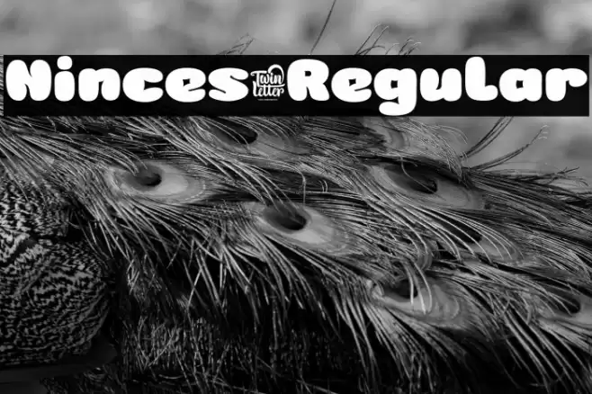 Ninces-Regular Font examples