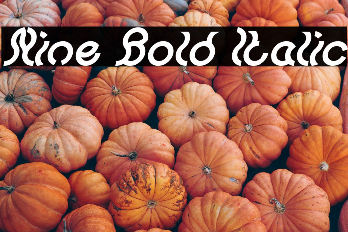 Nine Bold Italic Example 2