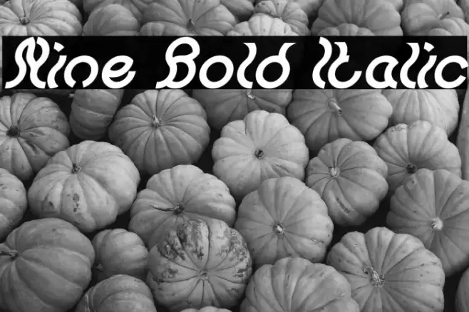 Nine Bold Italic Font examples