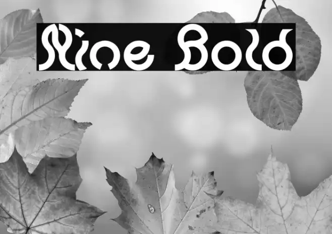 Nine Bold Example 3