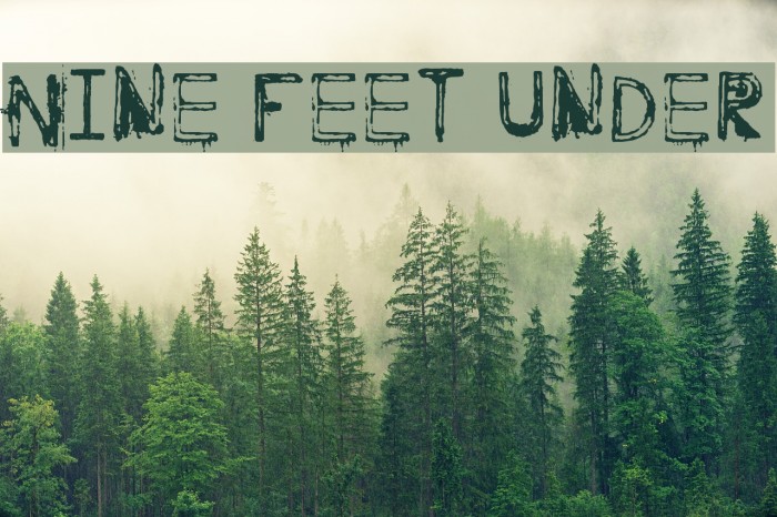 Nine Feet Under Font examples