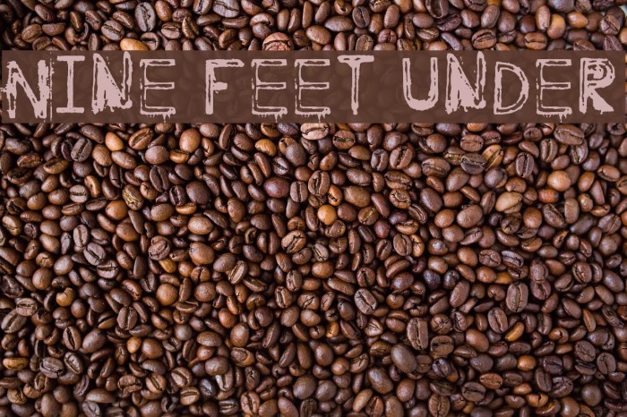 Nine Feet Under Font examples