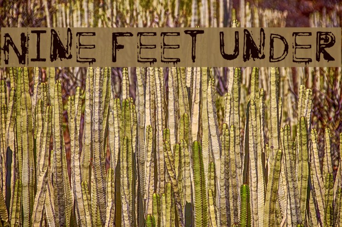 Nine Feet Under Font examples