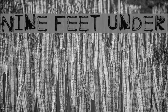 Nine Feet Under Example 3