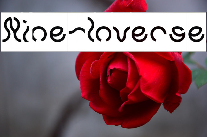 Nine-Inverse Example 1