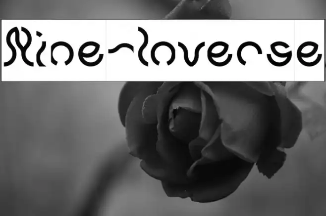 Nine-Inverse Example 1