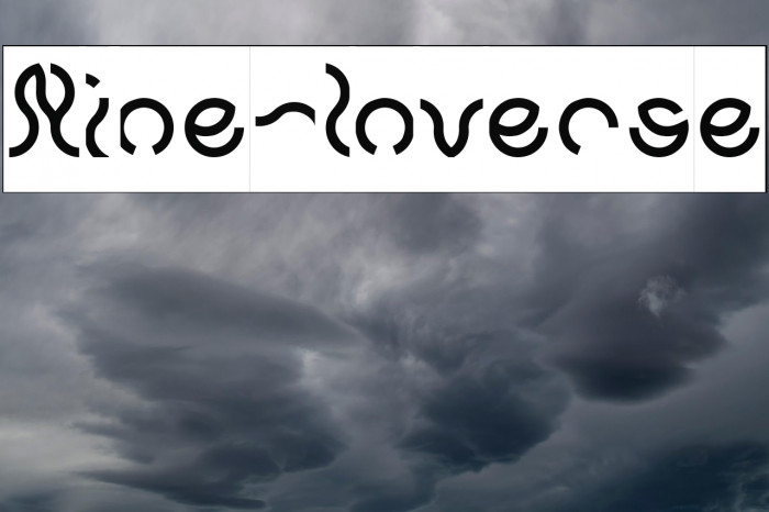 Nine-Inverse Example 2