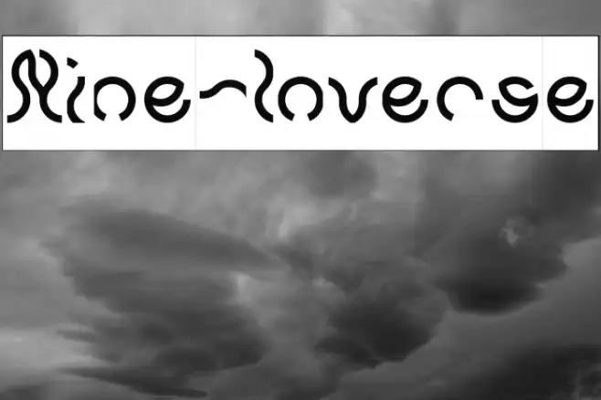 Nine-Inverse Example 2