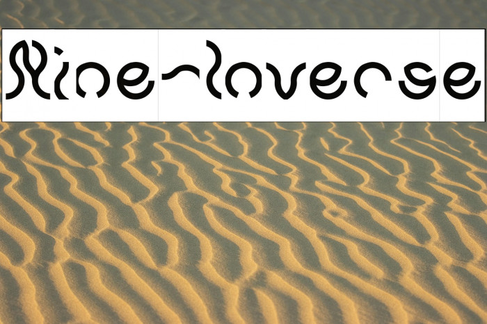 Nine-Inverse Example 3