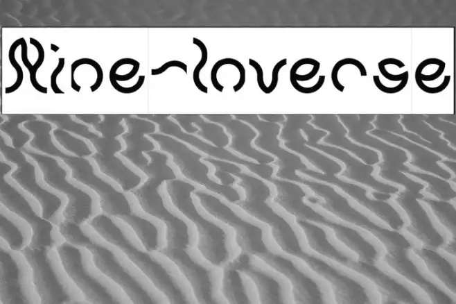 Nine-Inverse Example 3