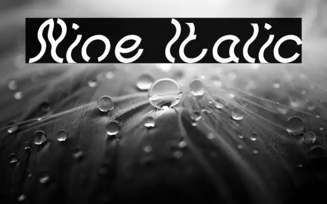 Nine Italic Font examples