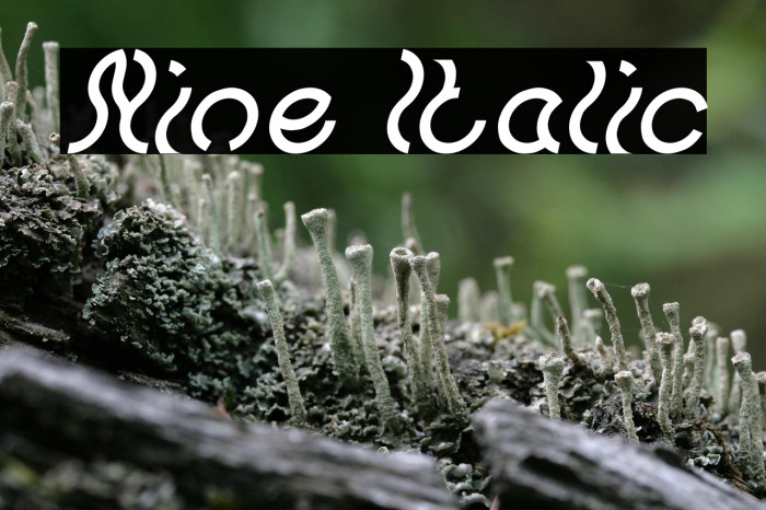 Nine Italic Example 2