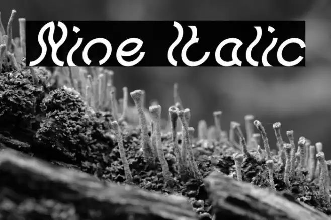 Nine Italic Font examples