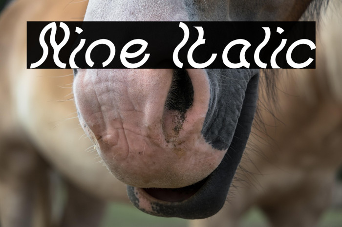 Nine Italic Example 3