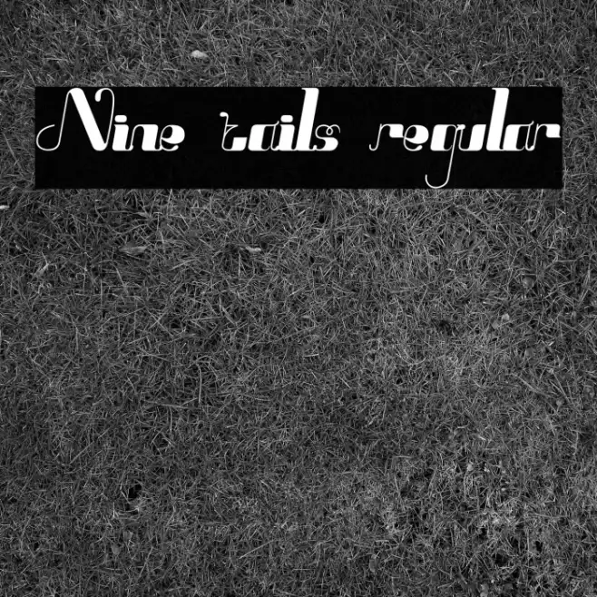 Nine tails regular Example 2