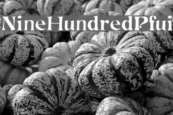 NineHundredPfui Font examples