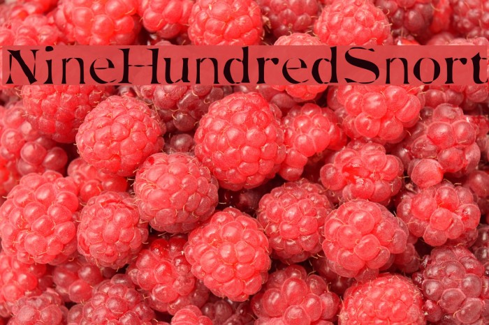 NineHundredSnort Example 1