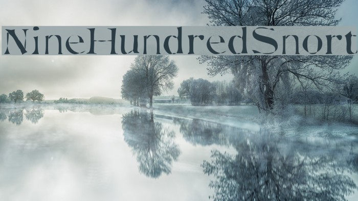 NineHundredSnort Example 3