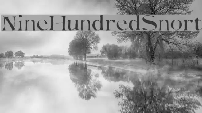 NineHundredSnort Font examples