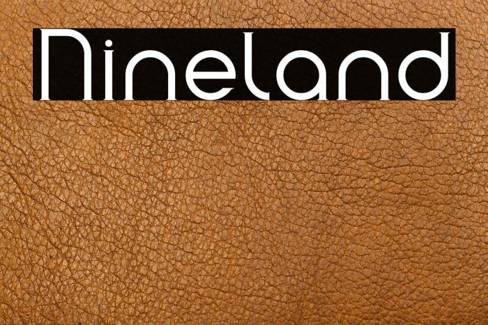 Nineland Example 2
