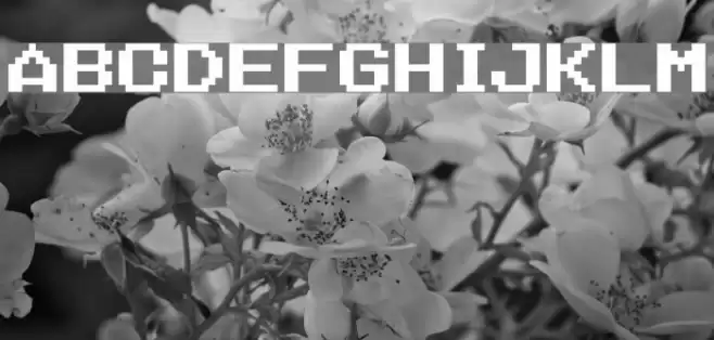 Nineteen Eighty Seven Font examples