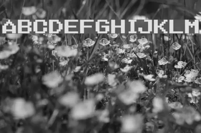 Nineteen Eighty Seven Font examples