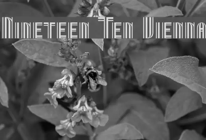 Nineteen Ten Vienna フォント examples