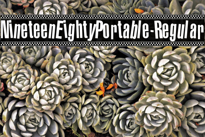 NineteenEightyPortable-Regular Example 2