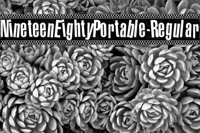 NineteenEightyPortable-Regular Example 2