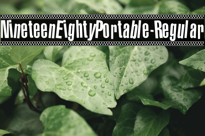 NineteenEightyPortable-Regular Example 3