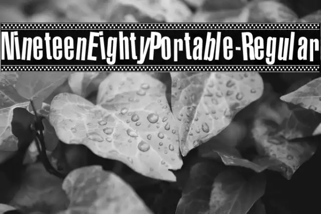 NineteenEightyPortable-Regular Example 3