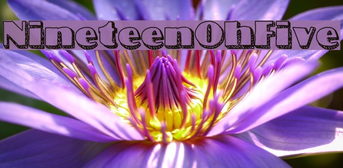 NineteenOhFive Font examples