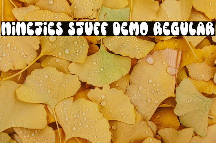 Nineties Stuff DEMO Regular Example 1