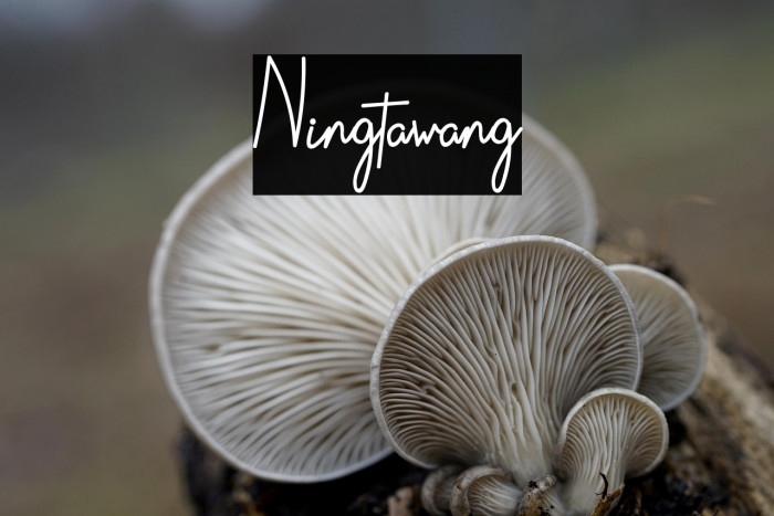 Ningtawang Example 3