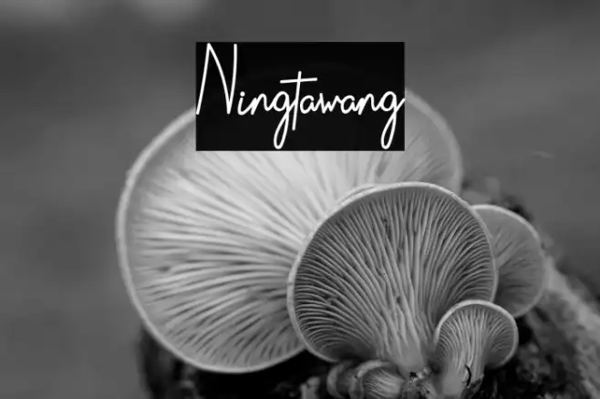 Ningtawang Example 3