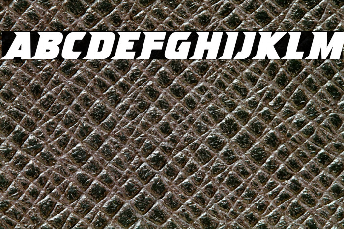 Ninja Attack Italic Example 2