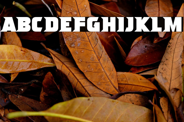 Ninja Attack Example 1